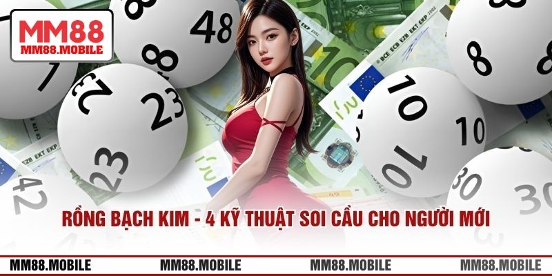 Rồng Bạch Kim Là Gì? 4 Kỹ Thuật Soi Cầu Cho Người Mới